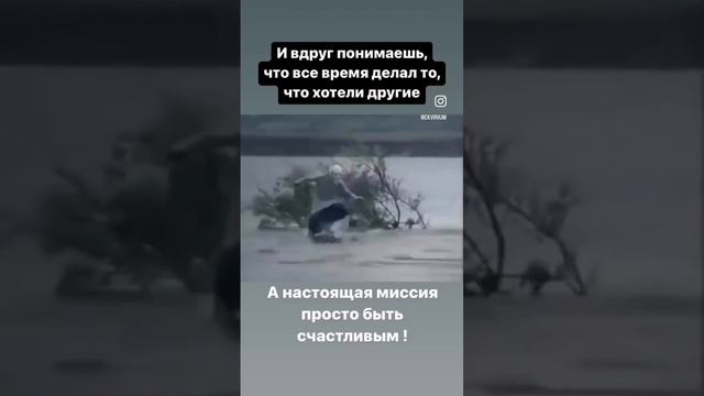 Когда не верно понял свое предназначение и миссию