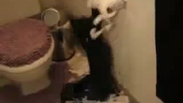 Смерть, смерть тебе бумага / www.kengarags.ru смотреть онлайн