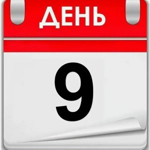 9 недель ( Песни от Юрана )