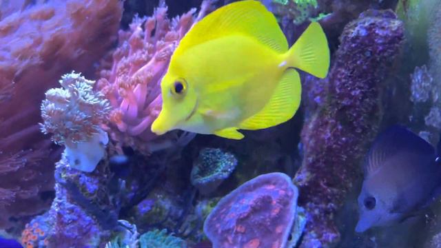 17 мая 2023 г. смотреть онлайн