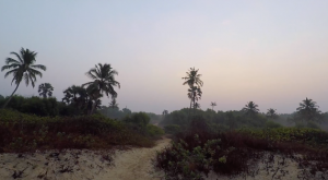 Пляж Варка, Кавелоссим, Бенолим, Luisa by the sea, Колва. Гоа. Индия. Февраль 2018.