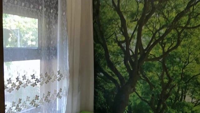 Дом 3к 7чел Мира / Морская - Жилье и Отдых в Ейске смотреть онлайн