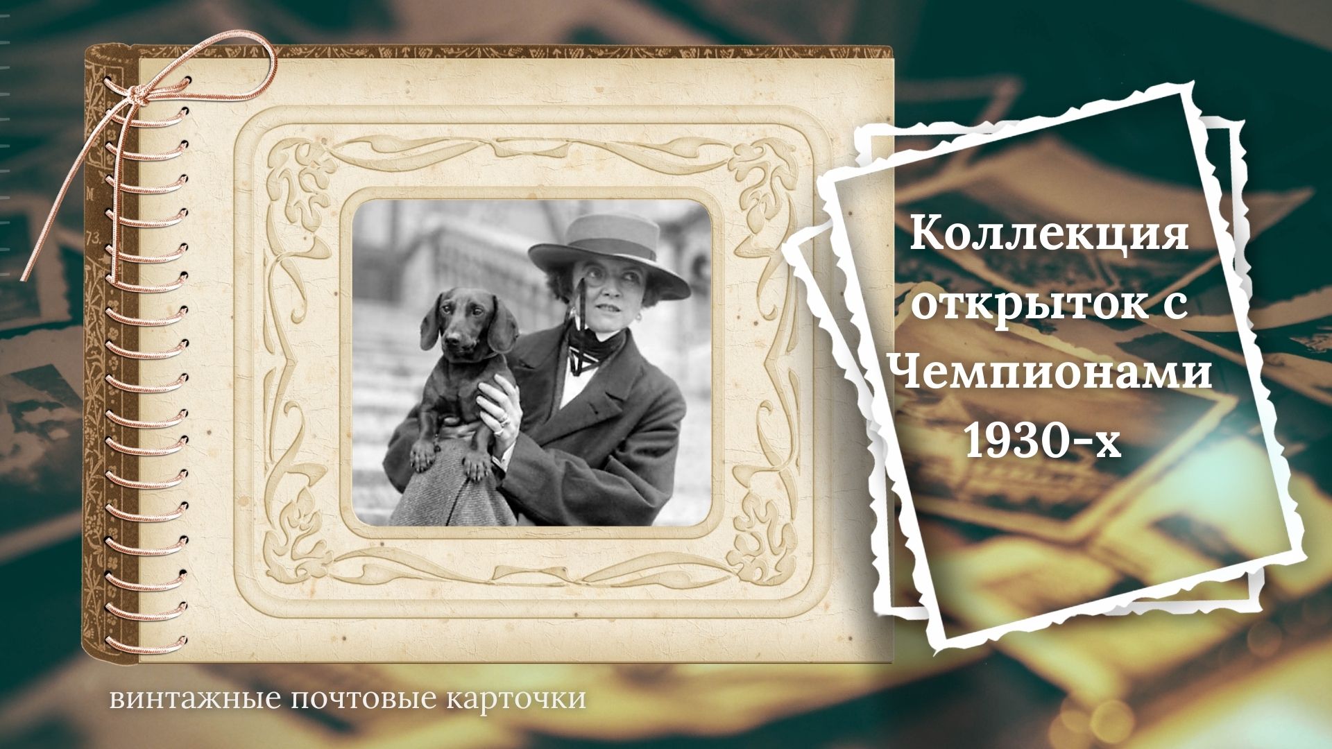 Коллекция открыток с Чемпионами 1930-х с разными породами собак.