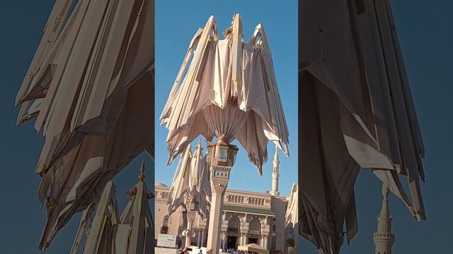 26 сентября 2023 г. смотреть онлайн