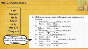 Spotlight 4 класс Сборник упражнений страница 58 номер 4 ГДЗ решебник