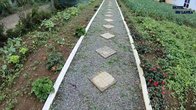 Hotel Sri Lanka.. Nuwara eliya смотреть онлайн