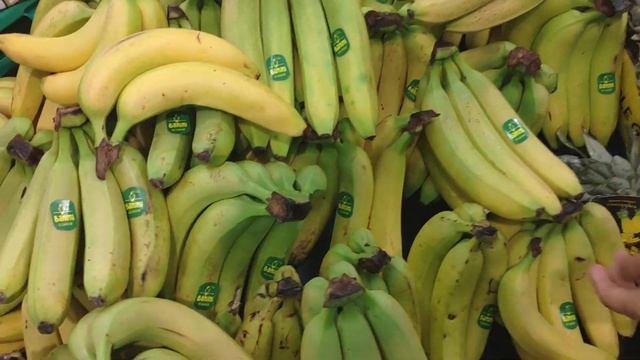 Веганские продукты в Анталии! И не только, что привезти из Турции? Варенье, мёд, пекмез, орехи. смотреть онлайн