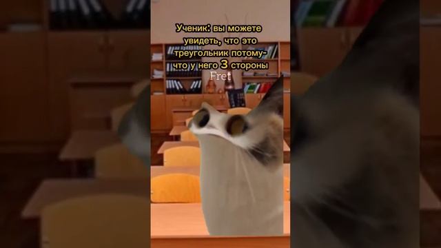 Когда она будет тонуть ,он скажет -Докажите!😈 #котики #мем