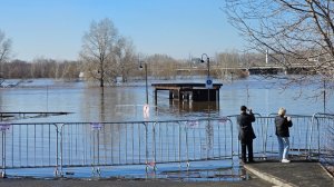 Пик паводка наступил в Оренбурге на фоне рекордного уровня воды в реке Урал