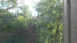 Голос черного ворона 58458 DSCN4574