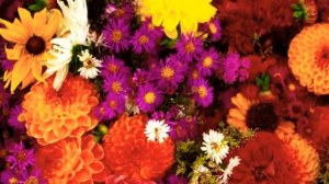 Поздравление с днем ВОСПИТАТЕЛЯ. С днем дошкольного работника.  27 сентября - день воспитателя.