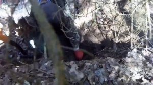 Коп по ВОВ . Каски немецкие и газбак!!! Неожиданные находки в лесу!