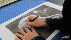 How to airbrush a detailed eagle and mountain scene