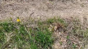 15. Год прошёл, дороги нет...