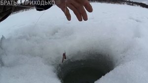 ЛОВИМ ЯЗЯ СИГА И ХАРИУСА НА ПЕЧОРЕ / РЫБАЛКА ВЕСНОЙ НА ЛЬДУ