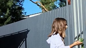 домашний фильм 📽