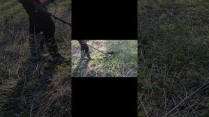 Находка-старинный серебряный перстень.