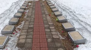 В посёлке Боровёнка