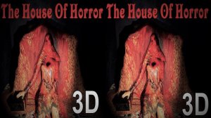 3D horror video 3D SBS VR box google cardboard