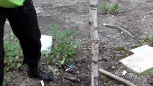 НОЖ SENPAI (Сенпай)! ТЕСТ.Часть Первая