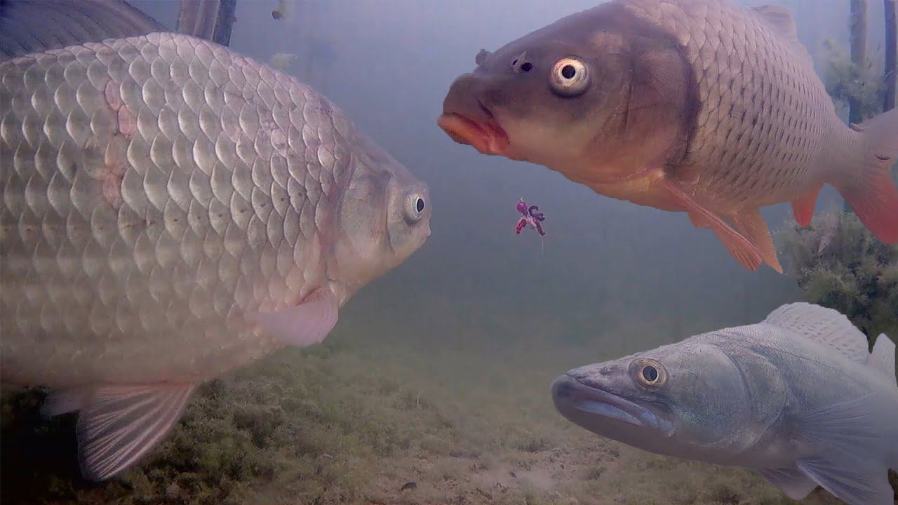 АПРЕЛЬСКИЙ ЛЁД РАДУЕТ ПОЛЕВКАМИ!!! ПОД ВОДОЙ МНОГО КРУПНОЙ РЫБЫ!!! смотреть онлайн