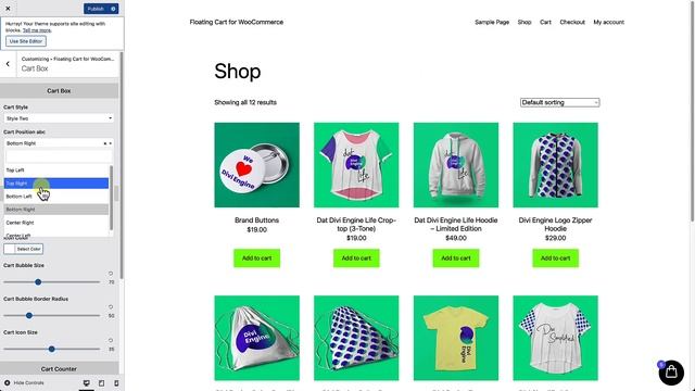 How to Add a Floating Cart in WooCommerce Website for Free смотреть онлайн