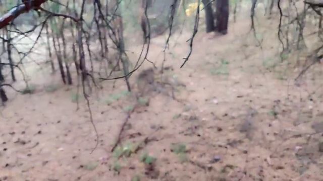 Тихая охота с родственниками смотреть онлайн