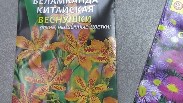 Беламканда смотреть онлайн