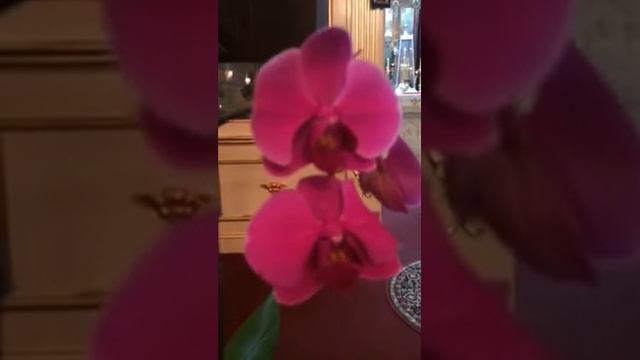 Суббота вечер. Воскресное Евангелие 10-е. 5.23.15 смотреть онлайн