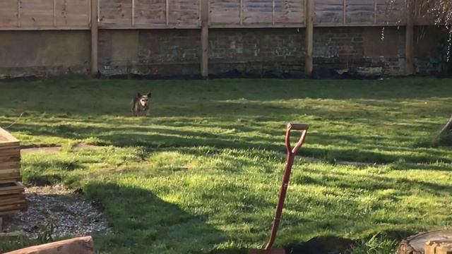 3. New seeds, bulbs and plants!! смотреть онлайн