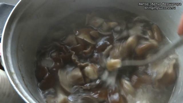 Маринованные опята видео рецепт приготовления