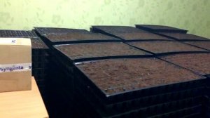 Творю и вытворяю. Закладываем торф "Классман" в кассеты.