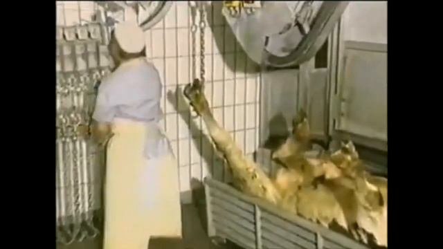 Оглушение и обескровливание.