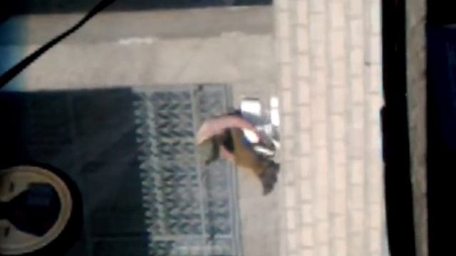 Чувак под клеем) смотреть онлайн