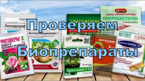 Эксперименты. Проверка работоспособности биопрепаратов