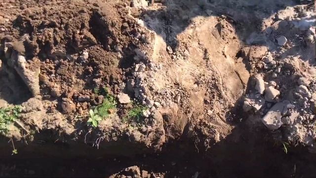 Как сделать капельный полив для клубники смотреть онлайн