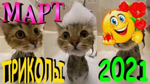 ПРИКОЛЫ 2021 САМЫЕ НОВЫЕ!!!!СМОТРЕТЬ ПРИКОЛЫ 2021!!!#7.mp4