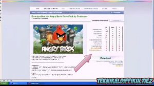 Angry Birds Theme for Windows Vista