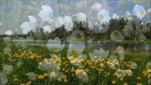 Природа весной. Май.