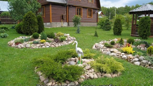 Туя в ландшафтном дизайне смотреть онлайн