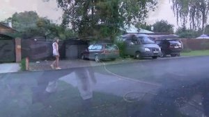 Работает ротвейлер, приятно смотреть. Охрана.