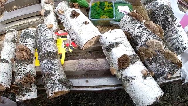 Композиция в эко-стиле для оформления веранды,беседки,камина  #декорсвоимируками,#садовыйдекор,#сад