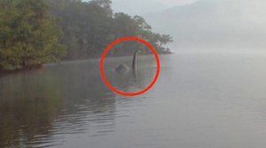 The Loch Ness Monster - REAL OR FAKE? You Decide