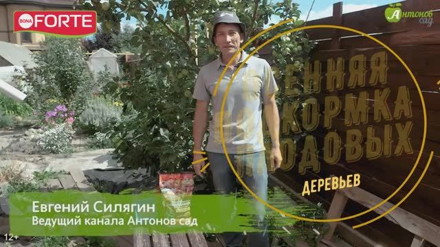 Осенняя подкормка плодовых деревьев - осенние удобрения Bona Forte