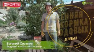 Осенняя подкормка плодовых деревьев - осенние удобрения Bona Forte
