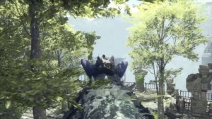 Прохождение The Last Guardian с русскими субтитрами без комментариев 
Часть 9