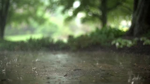 Спокойная музыка для релаксации на фоне природы, релакс, видео HD. Фоновая музыка без ап.