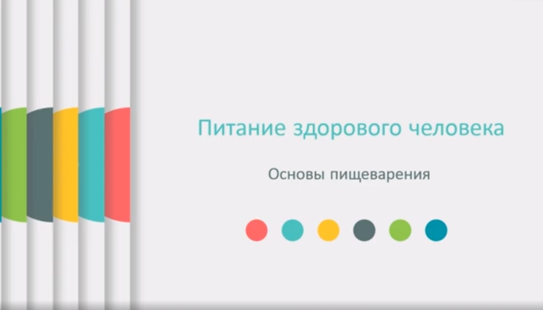 Основы пищеварения человека. смотреть онлайн