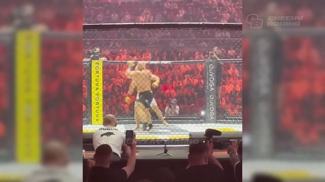 0 IQ Moments in Boxing смотреть онлайн