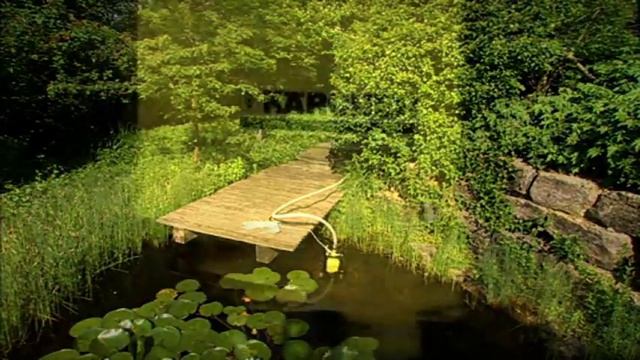 Садовые насосы и станции домового водоснабжения Karcher смотреть онлайн